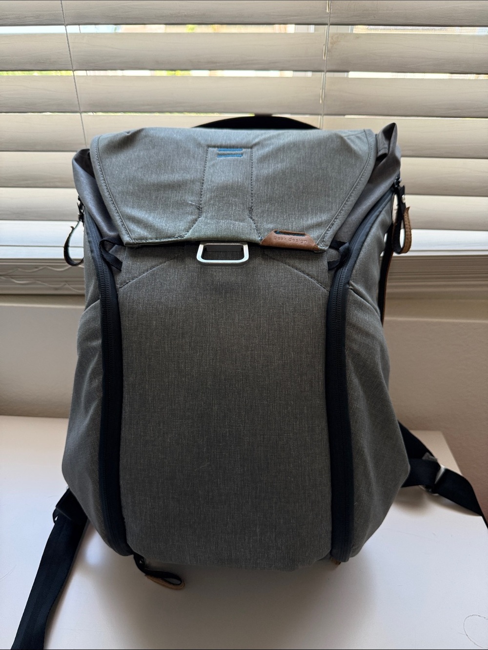 Peak design everyday 20L Camera Backpack